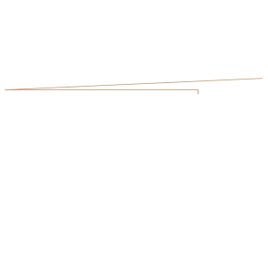 Bayside builders logo white